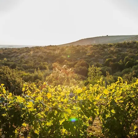 Villa Gospel & Winery *
