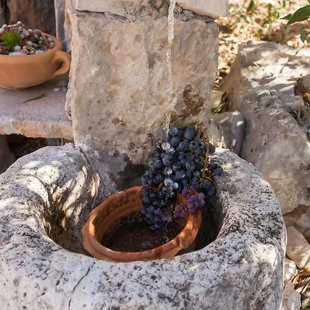 Gospel & Winery Villa *